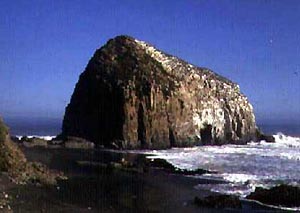 Conchales y Cuevas de Quivolgo (Constitución)