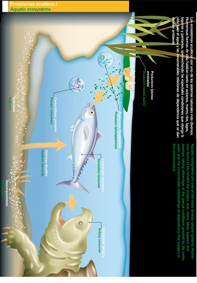 Ecosistemas acuáticos
