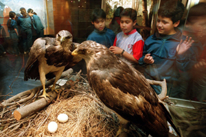 Interesantes talleres de Museo Nacional de Historia Natural