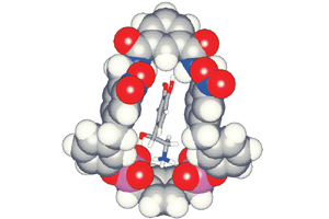 Hormonal activity