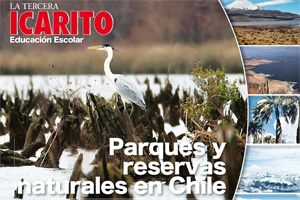 What you should know about parks and nature reserves in Chile