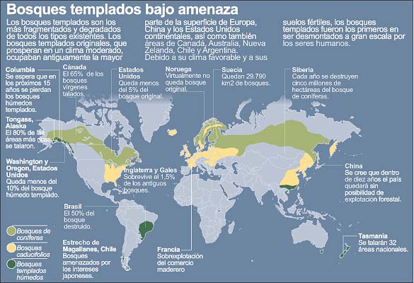 Bosques templados bajo amenaza.